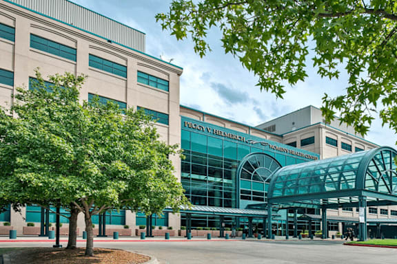 A large building with a green roof and a tree in front.