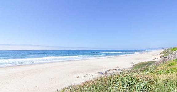A beach with a clear blue sky and calm ocean.