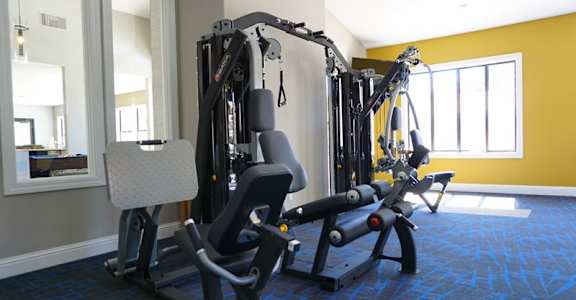 A gym with a blue carpet and a yellow wall.