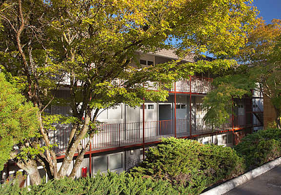 A tree with yellow leaves in front of a building.
