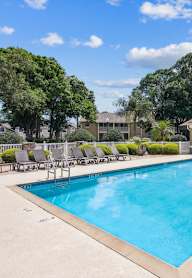 A swimming pool surrounded by trees and bushes.