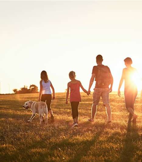 A family of four walking in a field with a dog.