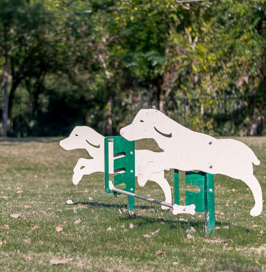 Community Leash-free Dog Park