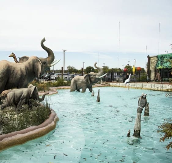 a group of statues of elephants and giraffes in a pool at The Woodridge Collection, Fairfield