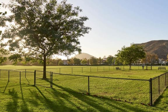 a soccer field with a tree and a fence at Anacapa Canyon, Camarillo, 93012