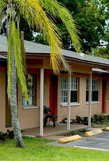 A building with a palm tree in front of it.