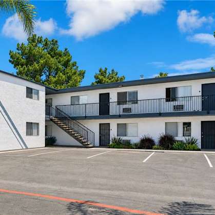 A white building with a palm tree in front of it.