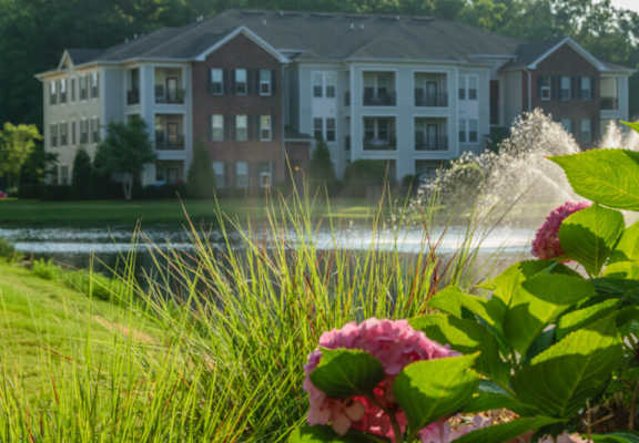Beautiful Lake View at Tapestry Park