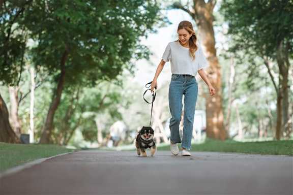 A woman walking her dog in a park.