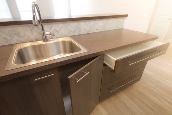 kitchen sink and cabinets