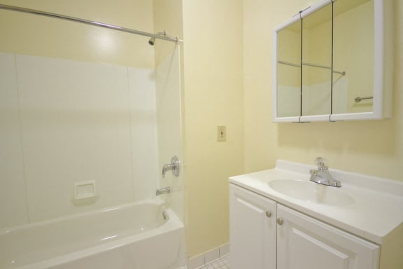 bathroom with with sink, bathtub and cabinets
