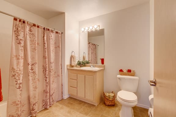 Decorated Bathroom at FOREST CREEK APARTMENTS, Spokane, WA 99208