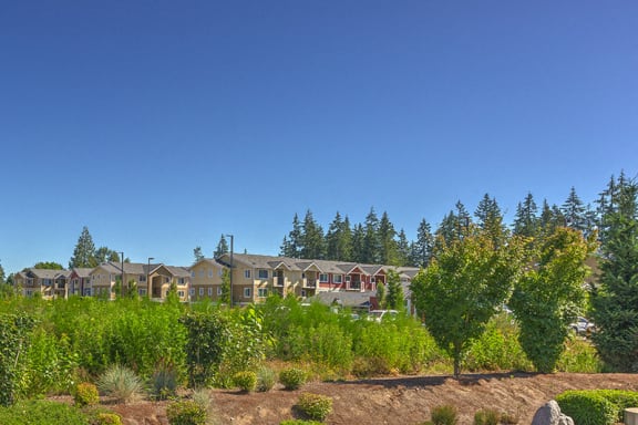 Sky View of Community at Quilceda Creek, Marysville, WA