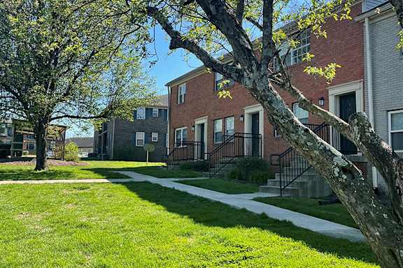 A tree branch is in the foreground of a residential area with houses and a sidewalk.