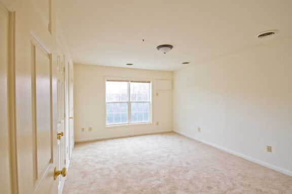 bedroom with white walls and carpeted floors