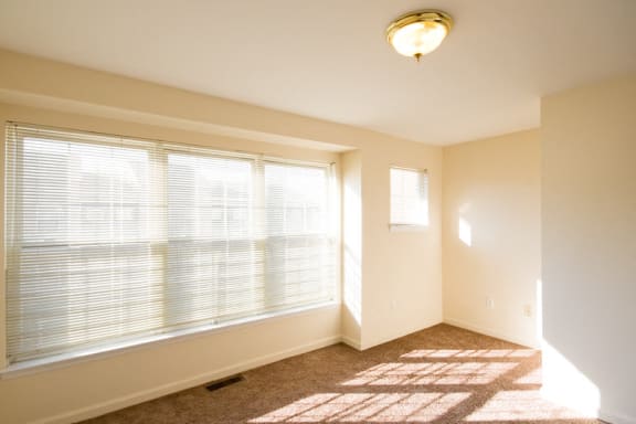 bedroom with 3 panel window, white walls and carpeted floor