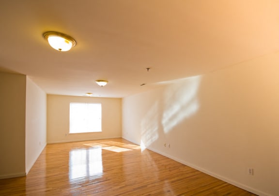 Living room with hardwood floors and white walls
