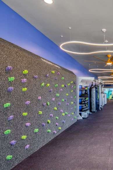 A gym with treadmills and a climbing wall.