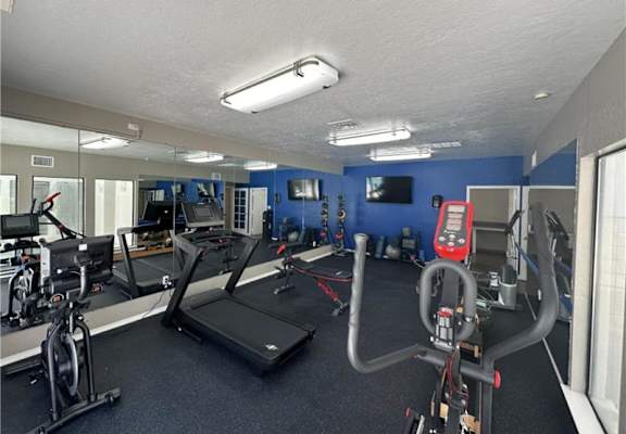 A gym with treadmills, exercise bikes, and other equipment.
