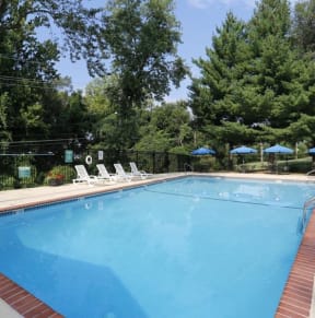 a large swimming pool with lounge chairs and umbrellas