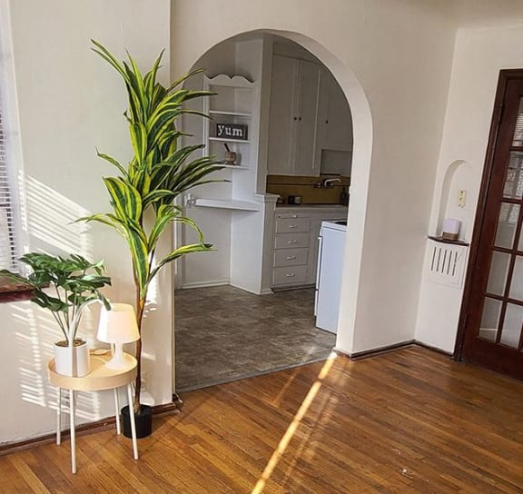 a living room with a door to a kitchen and a plant