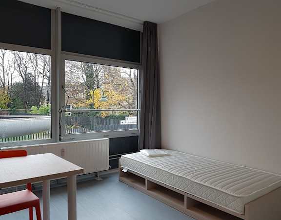 A bedroom with a bed, desk, and chair.