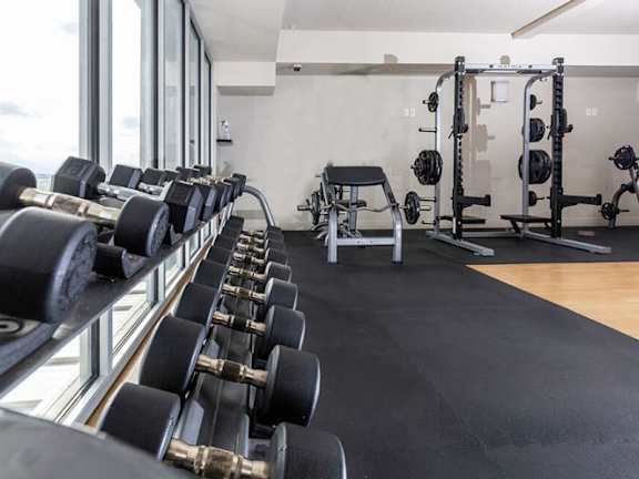 A gym with a row of dumbbells on the left and a bench press on the right.