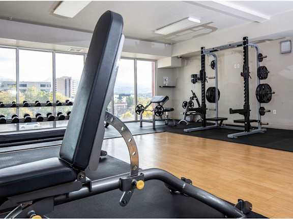 A gym with a row of dumbbells on the wall.