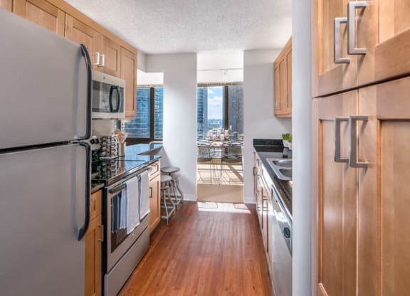 Beautiful kitchens featuring stainless steel appliances at Columbus Plaza, Illinois, 60601