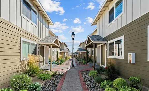 A street view of a residential area with houses on both sides and a lamp post in the middle.