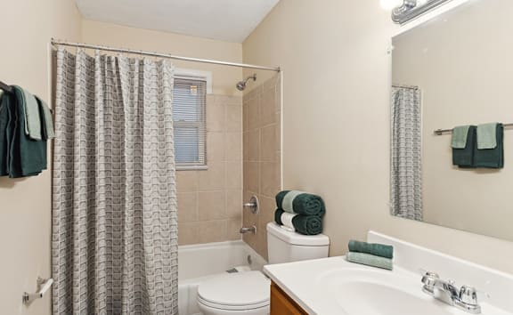 an image of a bathroom with a shower toilet and sink