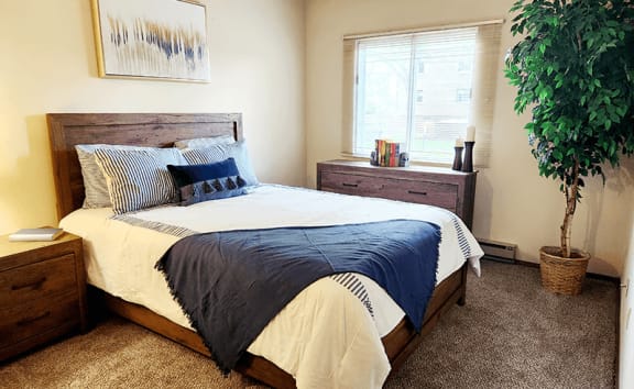 a bedroom with a bed and a plant and a window