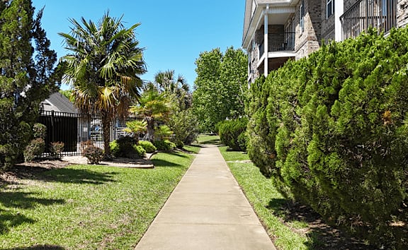 A residential street with a sidewalk and houses on both sides.