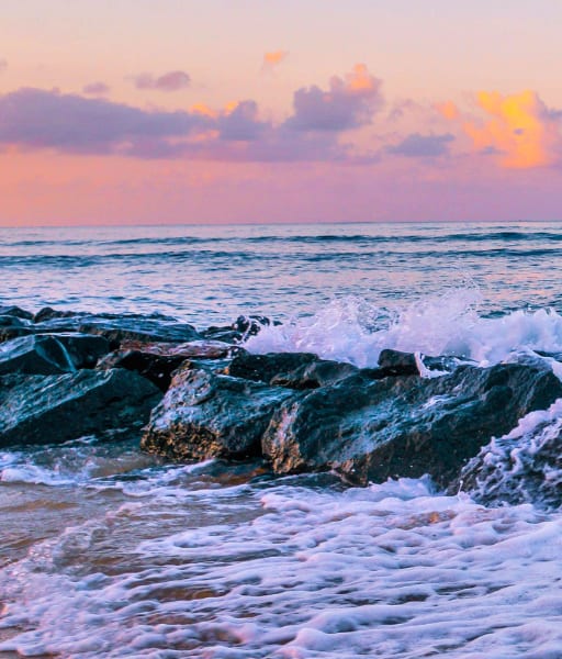 Waikiki High Tide