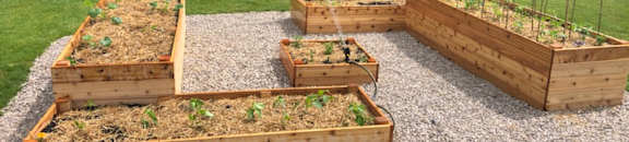 Westminster Resident Garden