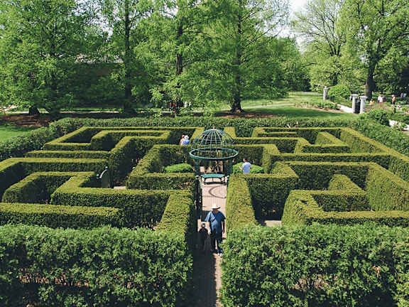 people walking through a maze of hedges in a park