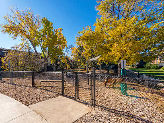 the preserve at ballantyne commons dog park