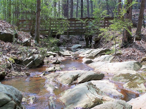 Creek, Swings, and Benches Near Glen Park Apartments in Smyrna, GA 30082