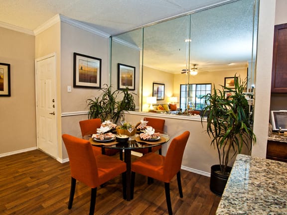 Mirrored wall in spacious floor plans Dallas TX