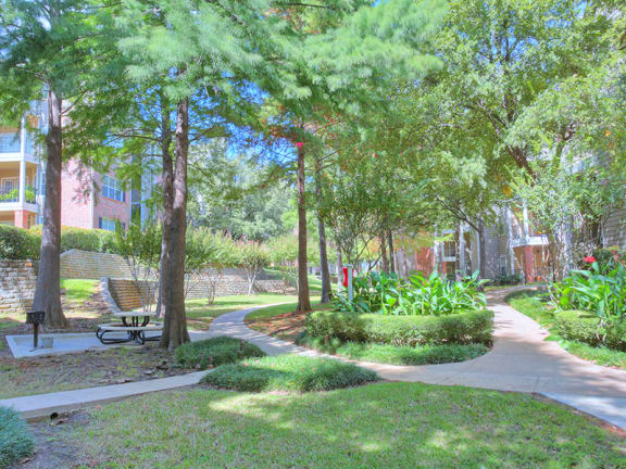Outdoor barbecue and picnic area at valley ranch apartments for rent