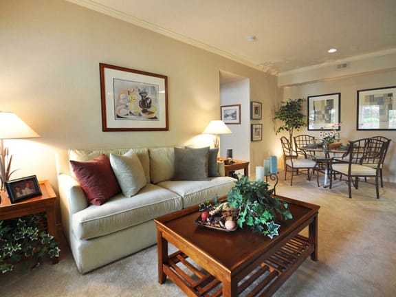 Spacious apartments with dining area in Irving Texas
