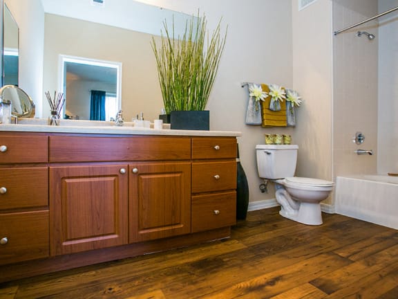Wood Vinyl Flooring in Spacious Model Bathroom in Apartment Near Phoenix