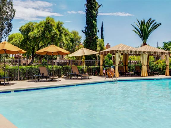 Luxury Apartments Tucson with Crystal Clear Swimming Pool