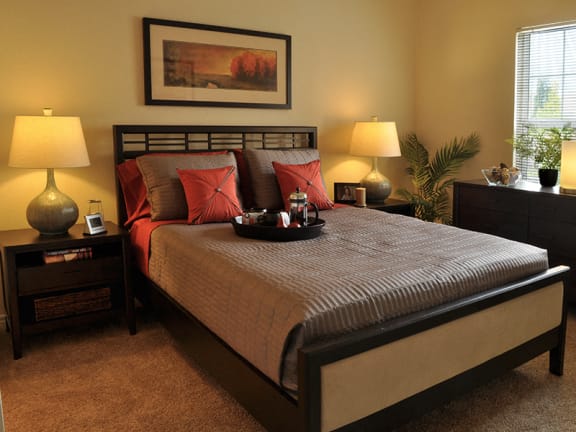 1, 2, and 3-Bedroom Apartments for Rent Near Park Meadows Mall Colorado