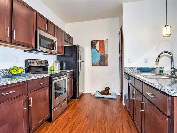 Full Kitchen with Stainless Steel Energy Star Appliances in Longmont Apartments with Short Term Rentals