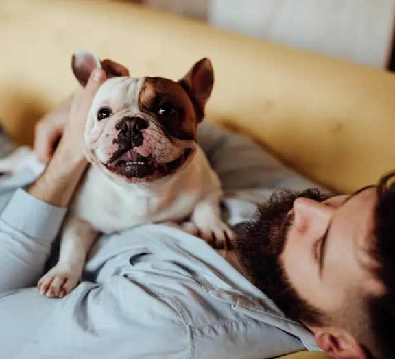 a man laying in bed with a bulldog on his face
