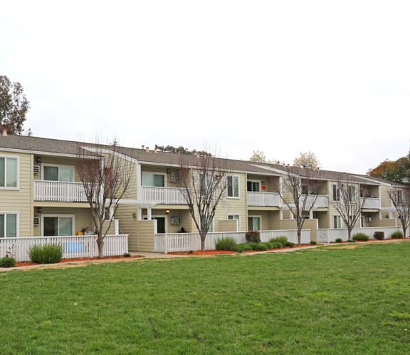 View of buildings near grass l Park Brentwood CA Apartments for rent