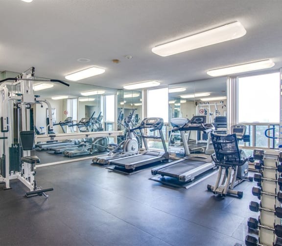 Modern fitness centre well equipped with cardio machines and weights