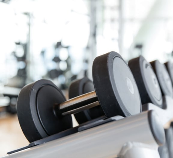a row of dumbbells in a gym