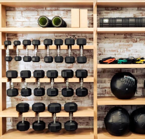 a wood shelf with dumbbells and a bowling ball on it